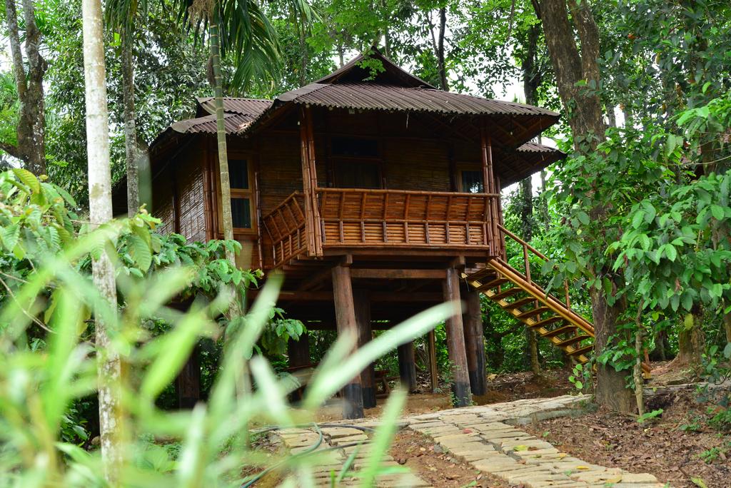 BAMBOO HUT | Wayanad homestay resorts |INDIVIDUAL HUT|