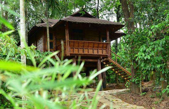 BAMBOO HUT | Wayanad homestay resorts |INDIVIDUAL HUT|